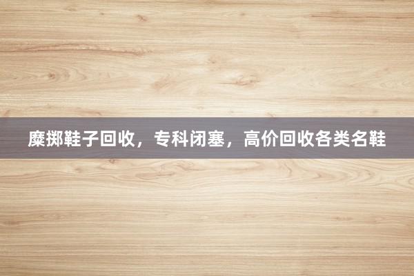 糜掷鞋子回收，专科闭塞，高价回收各类名鞋