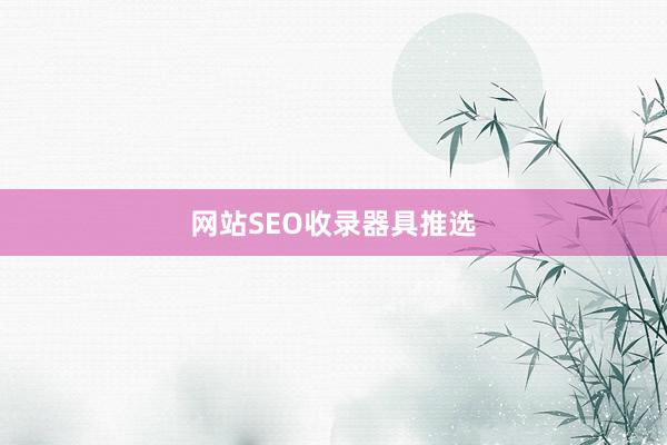 网站SEO收录器具推选