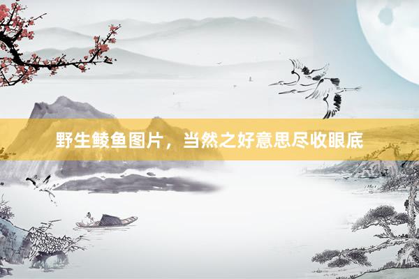 野生鲮鱼图片，当然之好意思尽收眼底